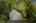 Blurred preview of media: 1-49