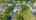 Blurred preview of media: 4_Randolph_Ct_0004