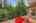 Blurred preview of media: 260159-31a