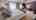 Blurred preview of media: 4-La-Jolla-Ln-02232022_201236