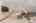 Blurred preview of media: 24 Rocky Dundee Road Bolton Massachusetts Job 40312 0037