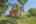 Blurred preview of media: 15