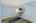 Blurred preview of media: 1-16