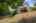 Blurred preview of media: 260159-34