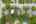 Blurred preview of media: 20250808L_lg_JW0006