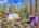 Blurred preview of media: DJI_20260418123708_0564_D_5_D_6_D_easyHDR