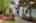 Blurred preview of media: 1-5
