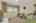 Blurred preview of media: 31