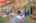 Blurred preview of media: IMG_0436_7_8