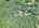 Blurred preview of media: DJI_20250728122447_0425_D_8_0426_D_8_0427_D_easyHDR
