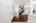 Blurred preview of media: 11