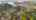Blurred preview of media: dji_fly_20260226_173642_0124_1772150567482_photo