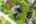 Blurred preview of media: 10_Ipixx_2