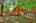 Blurred preview of media: IMG_0568_69_70_easyHDR