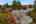Blurred preview of media: 1-64