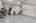 Blurred preview of media: MCI00009