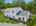 Blurred preview of media:  Image May 27, 2026 at 05_27_03 PM