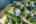 Blurred preview of media: DJI_0771 copy 2