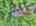 Blurred preview of media: DJI_20260527103907_0053_D_4_D_5_D_easyHDR