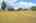 Blurred preview of media: 44