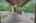 Blurred preview of media: DSC02317