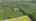 Blurred preview of media: 1