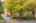 Blurred preview of media: 1-3