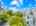 Blurred preview of media: 2-826-0109