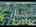 Blurred preview of media: Unknown media