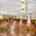 Blurred preview of media: 1-926-8005