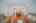 Blurred preview of media: 4376 (72 - 83)