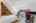 Blurred preview of media: 2747 Glendon Ave Los Angeles, CA 90064 - Office
