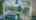 Blurred preview of media: IMG_4377