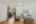 Blurred preview of media: 1247 Huron street. unit 81 web-6