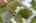 Blurred preview of media: iPixx_10_16