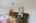 Blurred preview of media: 20250618L_lg_JW0089