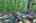 Blurred preview of media: IMG_0589_90_91_easyHDR