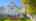 Blurred preview of media: IMG_9962