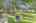 Blurred preview of media: DSC04289