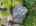 Blurred preview of media: 62-10565_SW_Cormorant_Dr