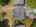 Blurred preview of media: 260140D-06