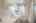Blurred preview of media: IMG_9963