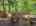 Blurred preview of media: F Image Mar 22, 2026 at 04_59_05 PM