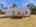 Blurred preview of media: 593_Doyle_Street_Doyle_028