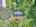 Blurred preview of media: DJI_20250616144151_0807_D_8_D_9_D_easyHDR