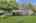 Blurred preview of media: 250245-39a