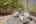 Blurred preview of media: PAX_0248