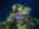 Blurred preview of media: TWI-DJI_0140-HDR