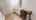 Blurred preview of media: 2-Daffodil-Drive-04112025_181644