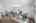Blurred preview of media: DSC_6677